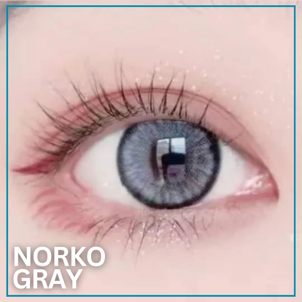 NORKO GRAY (OH WOW 🙀)