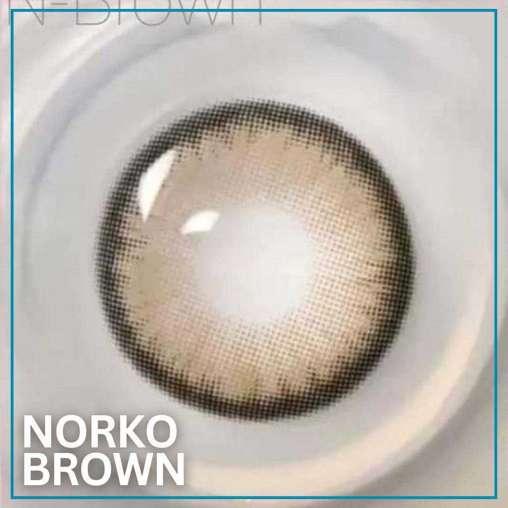 NORKO BROWN (OH WOW 🙀)