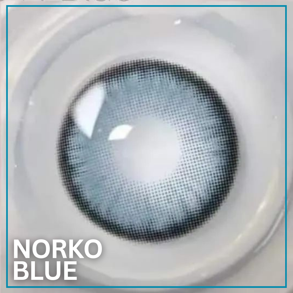 NORKO BLUE (OH WOW 🙀)