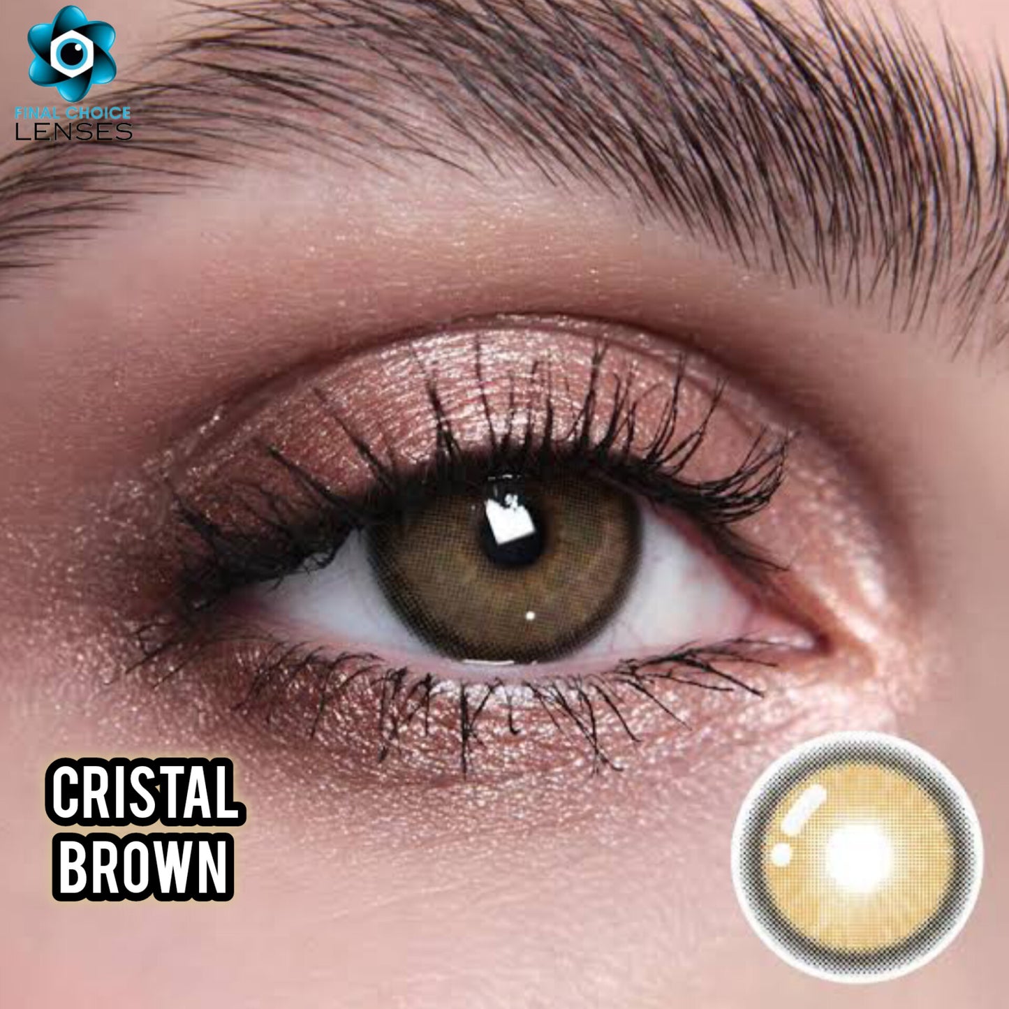 CRISTAL BROWN 🤎