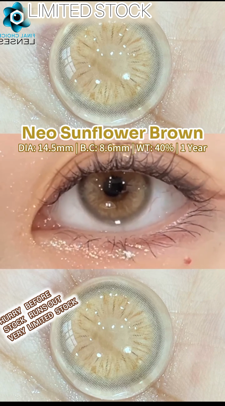 NEO SUNFLOWER BROWN 🌞